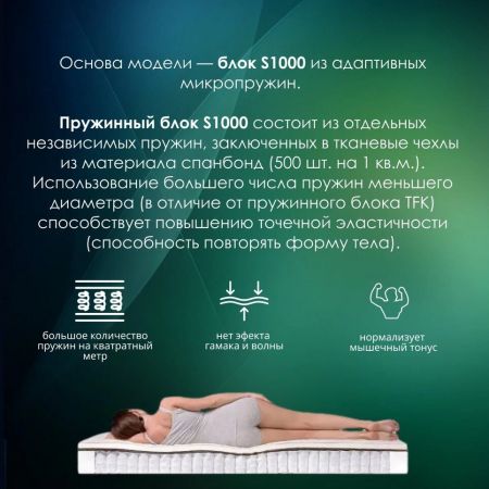 Матрас EveRest Кокос-Хол S1000 (Кокос-Хол&nbsp;S1000)